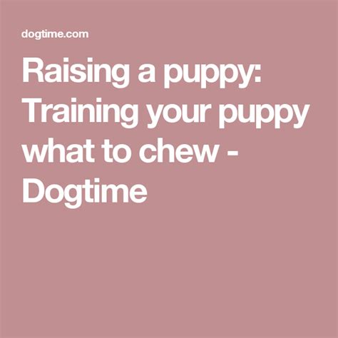 Jack and wendy vollhard and richard wolters further popularized this field by introducing puppy aptitude testing based, in part, on scott and fuller's findings. Raising a puppy: Training your puppy what to chew ...