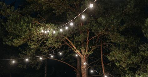 String Lights On Tree During Night Time · Free Stock Photo