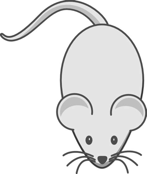 Light Grey Mouse Grey Outline Clip Art At