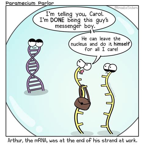 Disgruntled Mrna Biology Humor Biology Jokes Science Humor