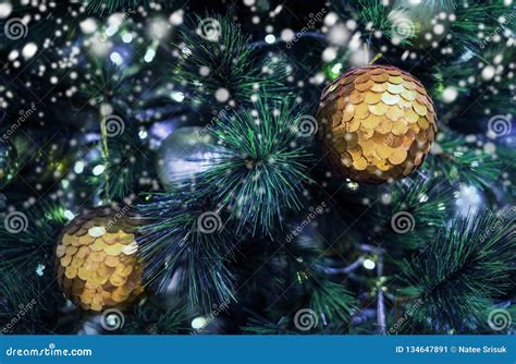 Christmas Ball On Xmas Tree With Snow In Winter Stock Image Image Of
