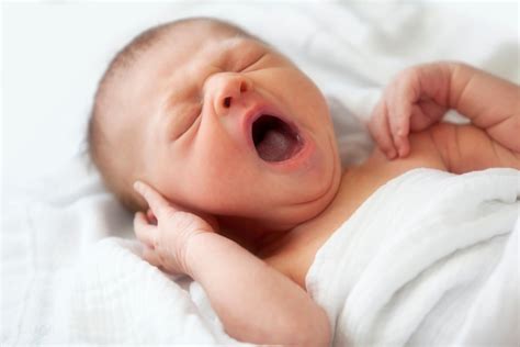 Yawning In Babies Causes And Tips To Control Being The Parent