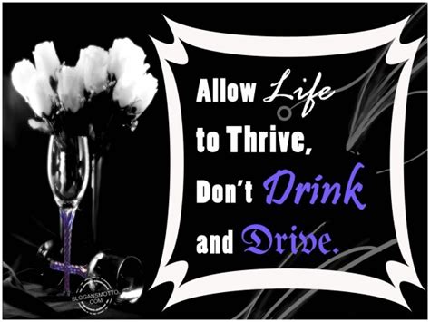 Anti Drunk Driving Slogans