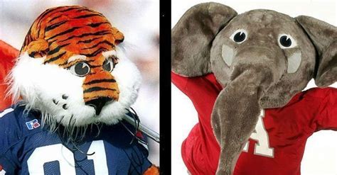 Who Is The States Best College Football Mascot Check Out Our 12