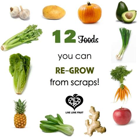 12 Foods You Can Re Grow Yourself From Kitchen Scraps Grow From