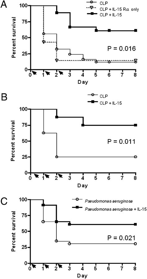 Il 15 Improves Survival In Clp And P Aeruginosa Pneumonia A Clp Was