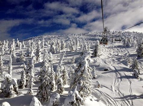 Beautiful British Columbia Mountain Trees Snow Skiing Hd Wallpaper