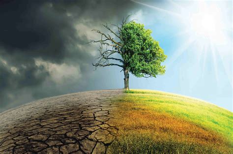 World environment day is officially here as of june, 5th 2021. Climate Change | Sustainable Energy & Environment Coalition