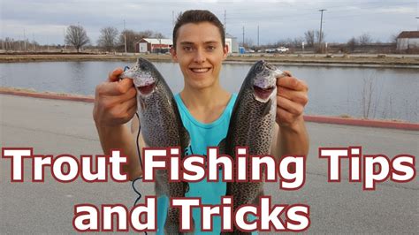 How To Trout Fish For Beginners Three Must Have Lures And Baits
