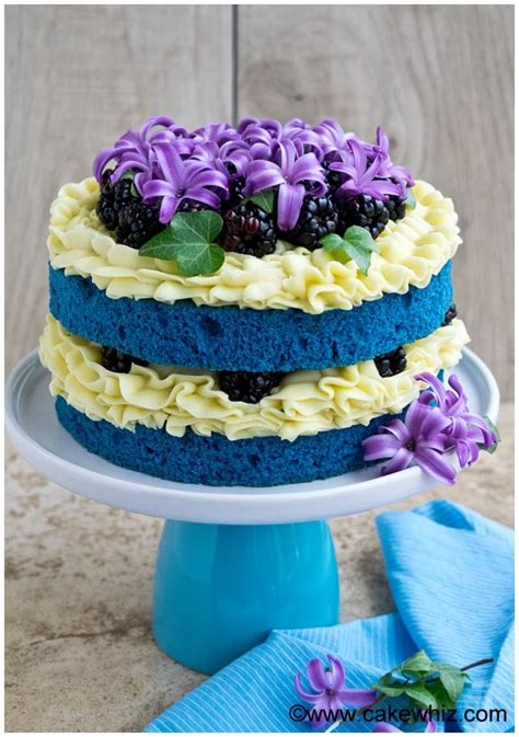 Easy Naked Cake Tutorial Blue Velvet Cake CakeWhiz
