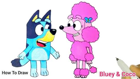 bluey and coco best friends how to draw bluey and coco from bluey cartooning cute drawings