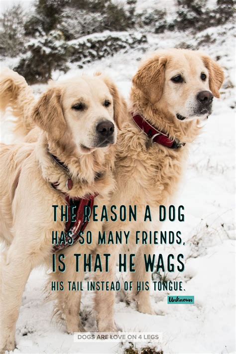 Happy Friendship Day With Dog Quotes Design Corral