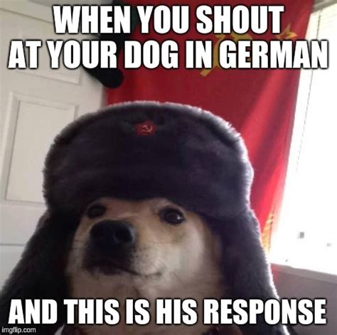 Image Tagged In Doggo In Soviet Russia Imgflip