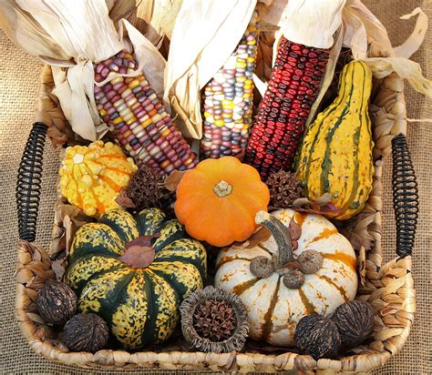 Fall Harvest 2 Free Stock Photo Public Domain Pictures