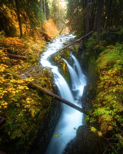 Sol Duc With Fall Colors Olympic National Park Wa Oc 3712x4640