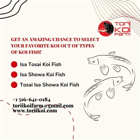 Get An Amazing Chance To Select Your Favorite Different Types Of Koi