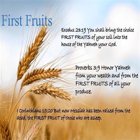 Feast Of First Fruits Happy Feast Bible Truth Online Bible Study