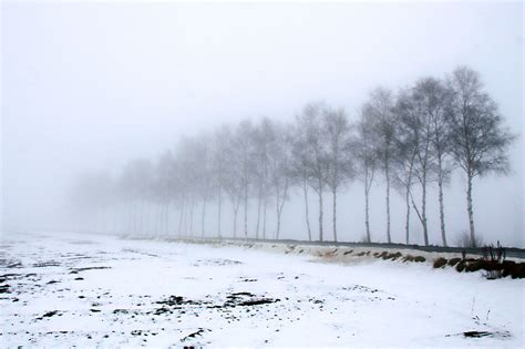 Free Images Hokkaido Biei Snow Fog Atmospheric Phenomenon Mist
