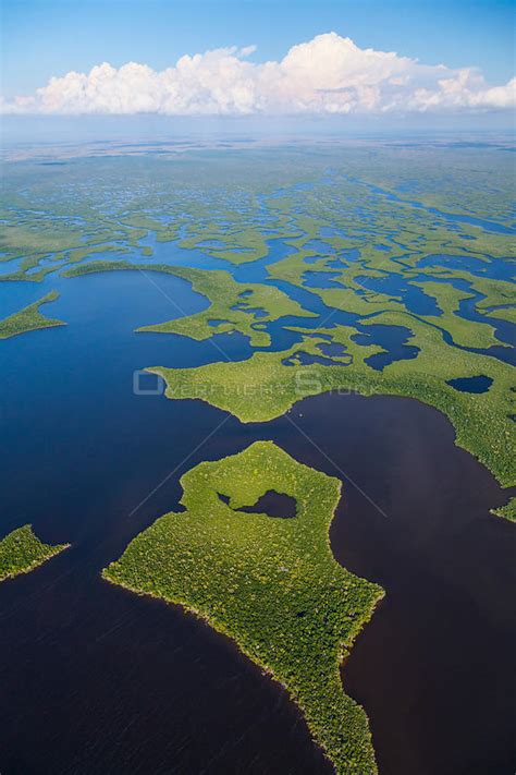 Overflightstock Aerial View Of Everglades National Park Florida Usa