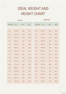 What Is Ideal Weight For 5 4 Female In Kg Blog Dandk