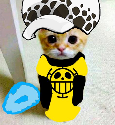 Discover 76 Anime Cat Pfp Best Induhocakina