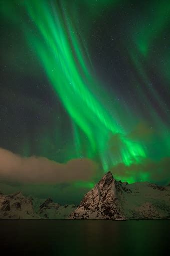 Aurora Borealis On The Lofoten Islands Reine Norway Green Northern