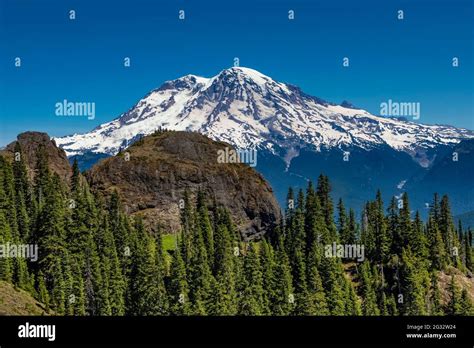 Mount Rainier Viewed From High Rock Lookout Trail Ford Pinchot