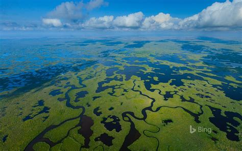 Aerial View Of Everglades National Park In Florida © Juan Carlos Muñoz