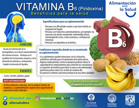 Vitamina B6 Alimentación Y Salud