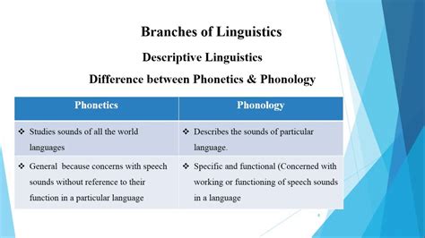 Branches Of Linguistics By Language And Linguistics Youtube