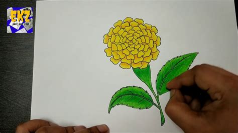 Draw Marigold Flower Step Step 1001 Ideas And Tutorials On How To