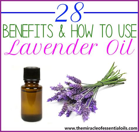 How To Use Lavender Essential Oil The Miracle Of Essential Oils