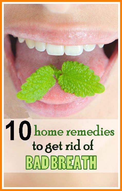 Top 10 Home Remedies For Bad Breath In 2021 Bad Breath Remedy Bad