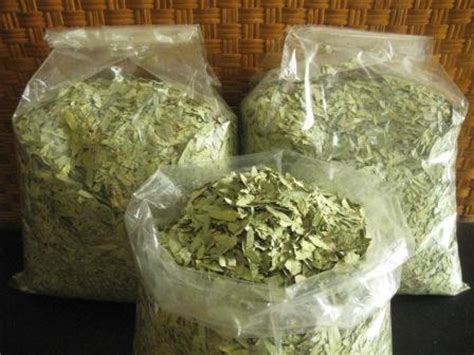 Karena itu, selalu baca petunjuk penggunaan dan cara penyajian yang tertera pada. Rosella Herbal | Melayani Grosir dan Eceran