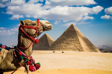 Tour To Cairo From Sharm El Sheikh Cairo Excursion By Plane