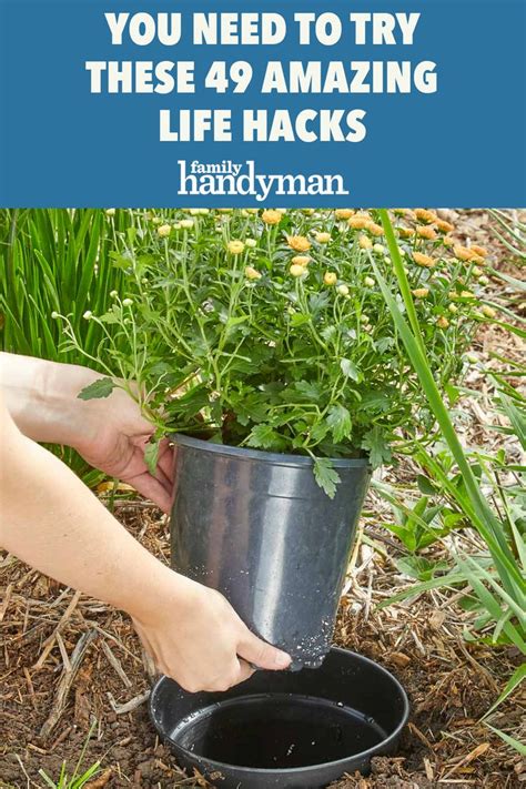 you need to try these 49 amazing life hacks gardening tips garden