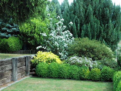 Great Idea For A Living Fence Privacy Landscaping Privacy Plants