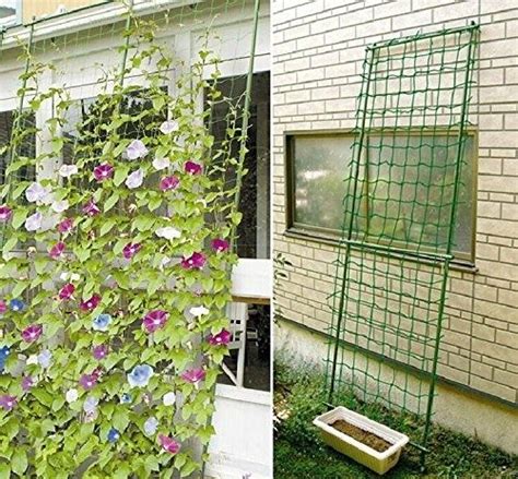 Start A Living Privacy Wall With This Trellis Netting As The Perfect