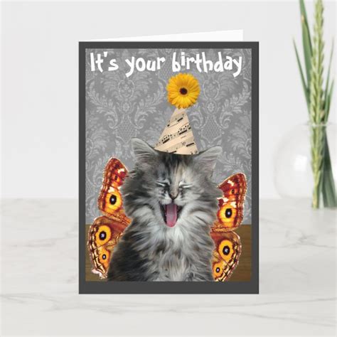 Funny Cat Birthday Card Or Invitation