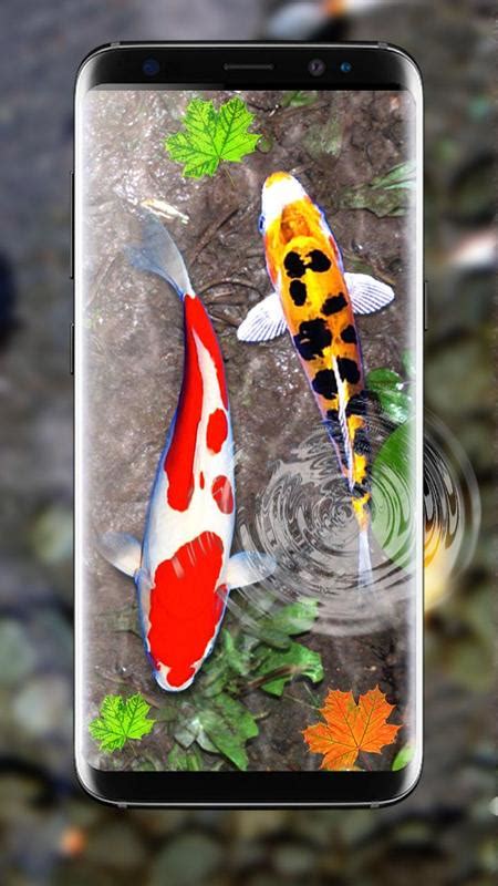 3d Koi Fish Wallpaper Hd 3d Fish Live Wallpapers For