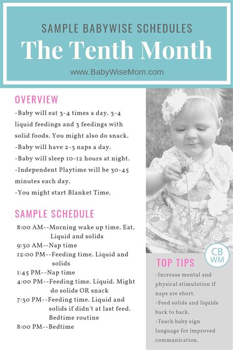 Small samples of fluoride toothpaste on the brush of milk teeth. Babywise Sample Schedules: The Tenth Month - Babywise Mom