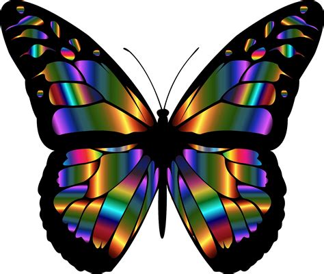 Iridescent Monarch Butterfly By Gdj A Colorful Iridescent Variation