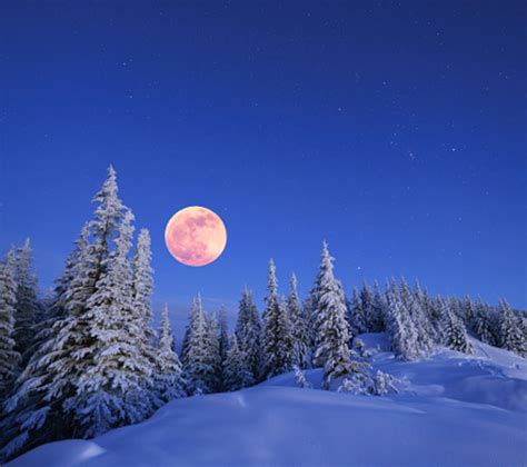 The Fascinating Significance Behind Our Winter Solstice Celebrations