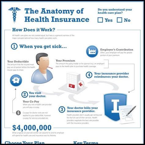 Health maintenance organization (hmo) any of a variety of health care delivery systems with structures ranging from group practice through independent practice models or independent practice associations (ipas). Anatomy of Health Insurance Infographic - Anatomy ...