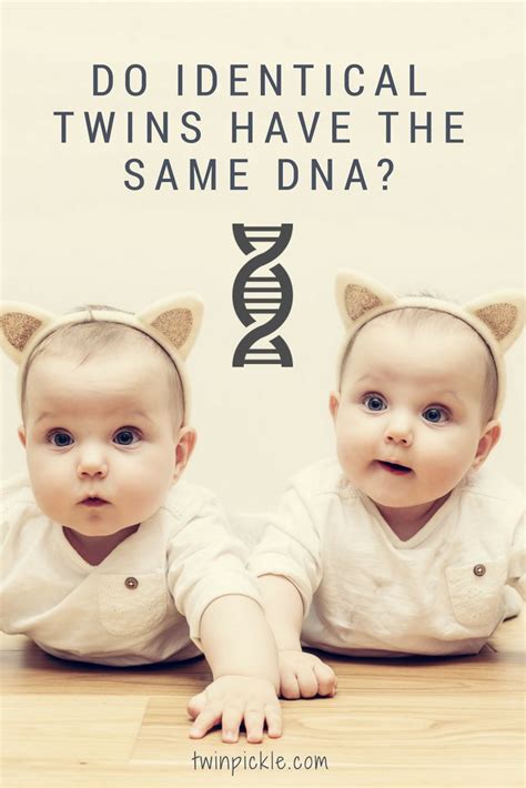 Do Identical Twins Have The Same Dna Identical Twins Twins Dna