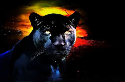 58 Black Panther Best Wallpaper