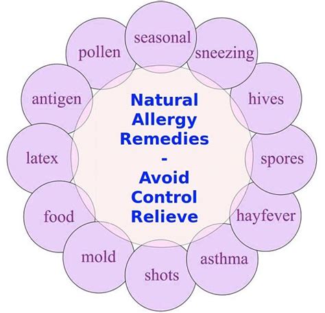 Best Natural Allergy Remedies Identify Avoid Seasonal Allergens