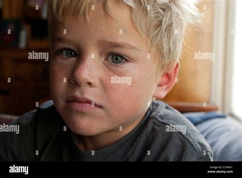 Portrait Of A 6 Year Old Boy Caucasian Boy Stock Photo Alamy