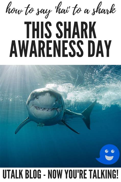 How To Say Hai To A Shark This Shark Awareness Day Shark Awareness
