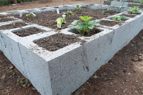 Diy Concrete Raised Beds Little Dove Blog